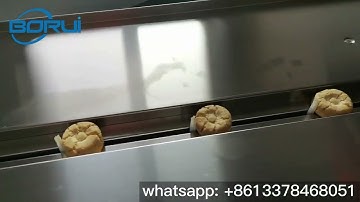 [Boruipack] Biscuits packaging machine flow wrapper with auto feeding device BR-180S