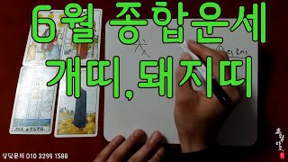 [6월 종합운세]개띠,돼지띠 #사주#타로