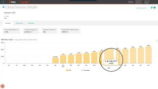 TrueSight Cloud Cost Control View of Cloud Services