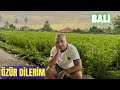 Bali’de Yaşadıklarım: Sabır Taştı, Açıklıyorum