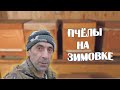 УБРАЛ ПЧЁЛ В ЗИМОВНИК. Сезон закончил