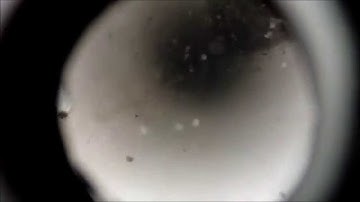 Pipe-Inspector® Raw Water Pipeline DN100