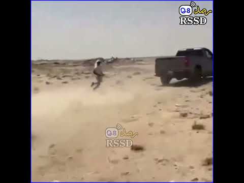 هيئة البيئة تحرير محاضر ضبط لمواطنين لصيدهم بعض الكائنات الحية الفطرية وإيذائها