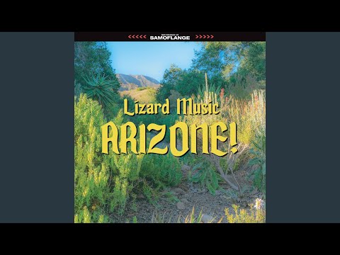 Lizard Music — Better Believe
