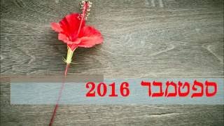 היביסקוס - פרומו ראשון