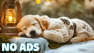 12 Hours of Peaceful Music for Dogs🎧Gentle Night Music for Dogs💚Relaxing Music for Stressed Dogs screenshot 3