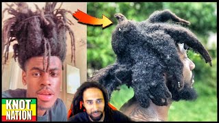 Freeform Dreadlocks are FASCINATING!