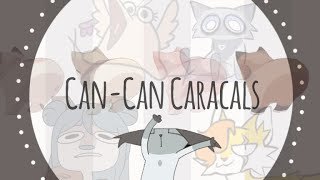 Can-Can Caracals | Patreon MAP by Finchwing 6,905 views 6 months ago 1 minute, 17 seconds