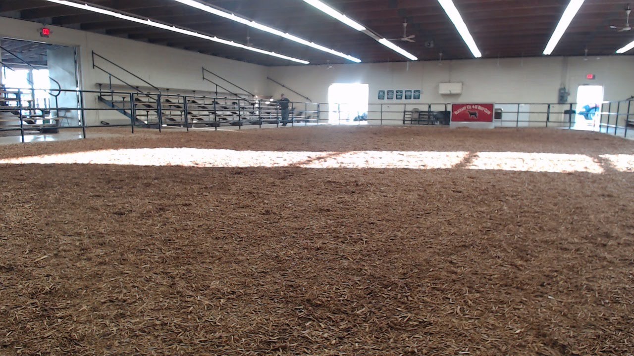 2019 Elkhart County 4H All Breeds Dairy Show YouTube