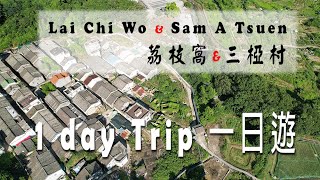 荔枝窩、三椏村  一日遊 Lai Chi Wo & Sam A Tsuen One day trip