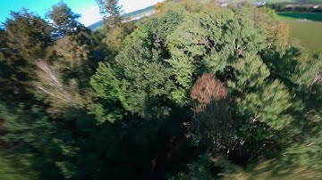 Break free & get a Trippy - Border Freestyle CZ/D - #TeamManiacs.com  #HGLRC #BETAFPV