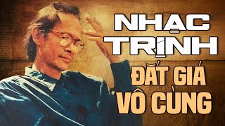 Liên Khúc Nhạc Trịnh Công Sơn ĐỂ ĐỜI Đắt Giá Vô Cùng - Nhạc Trịnh Hay Nhất Mọi Thời Đại