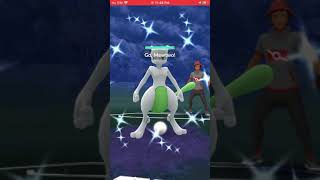 Mewtwos Last Stand Full Bouffalant Destruction Pokémon Go Battles