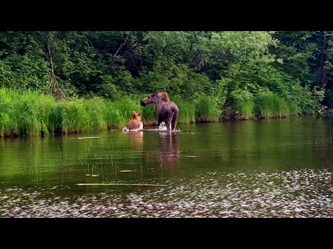 Yakutia. An unforgettable fishing trip!
