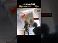 まさかの包囲脱出ルートはここだけ