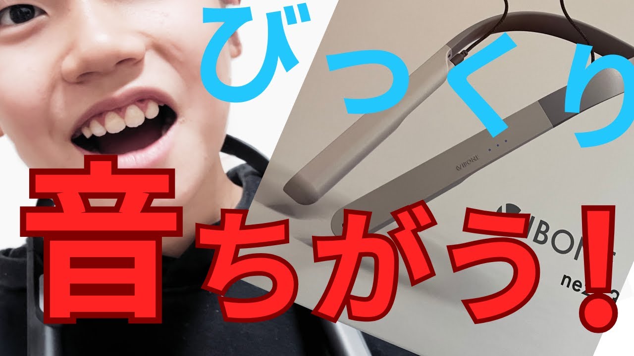 骨伝導集音器「Vibone nezu 3」が届きました