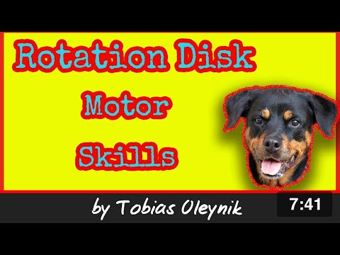 Rotation Disk - Motor Skills. IGP Online Academy by Tobias Oleynik.