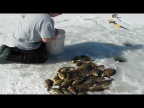 We visit our Owen County, Indiana "honey hole" for some late season ice fishing. For more about the trip visit www.bellbucksnbeards.com and click on "Braggin Board."