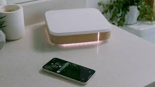 The most beautiful way to take your supplements | The Loba Smart Pill and Supplement Organizer