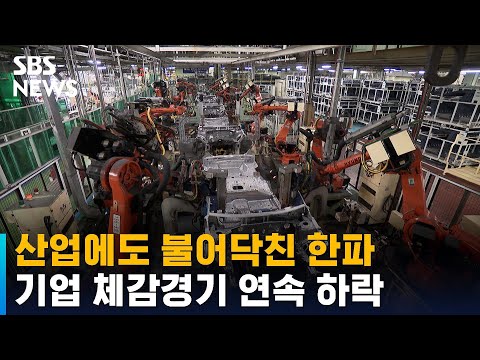 기업 체감 경기 5개월 연속 하락…2년 4개월 만에 최저 / SBS