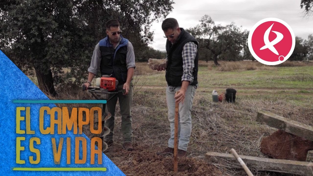 Los Mellis colocan los postes de la nueva alambrada con éxito | El campo es vida