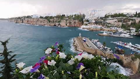 4K Video - Trimmed & Taught - Dan Lebowitz tune with  Engin Akyurt