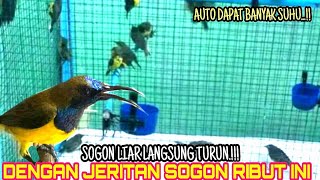 GAK SAMPAI 5 MENIT LANGSUNG DAPAT BANYAK.!! SUARA PIKAT SOGON AMPUH, SOGON RIBUT, DURASI PENDEK