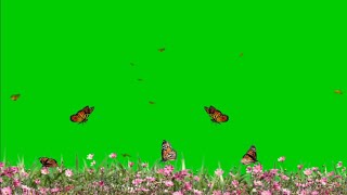 Flowers Garden with Butterfly Flying Effects Green Screen HD Video @CrazyEditor92