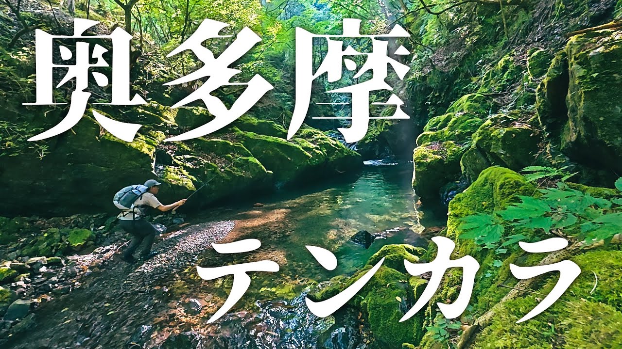 【山テンカラ】奥多摩のスレた魚をど素人は釣れるのか