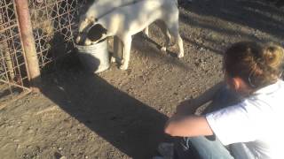 VID 20140611 192708