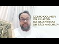 Como colher os frutos da quaresma de São Miguel?! | Moisés Rocha