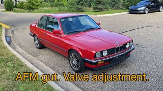 E30 325iS AFM gutting and valve adjustment