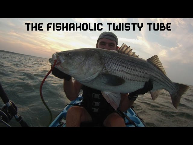 The FishAholic Twisty Tube Trolling Lure and Striper Catching Machine! 