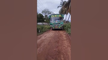 Mass Entry # NPS Bus # Fast Rider # Trending