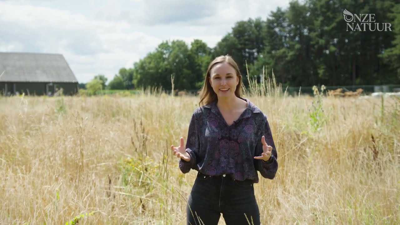 Een wereld vol aaltjes | Biobest