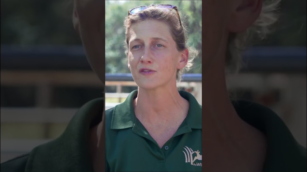 Joining forces for rhino conservation! 🦏