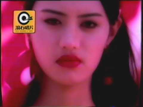 辛曉琪 遺忘