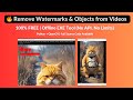 Remove Watermarks &amp; Objects from Videos – 100% FREE | Offline EXE Tool (No API, No Limits)