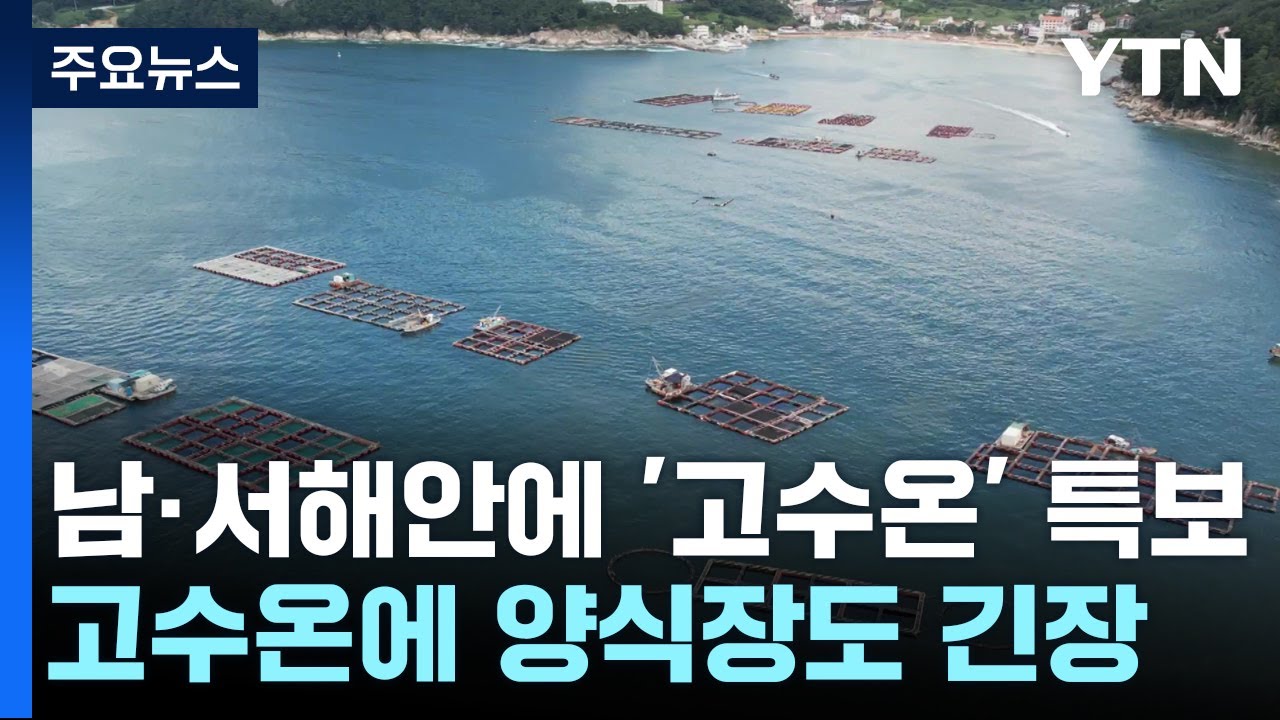 남해안·서해안에 '고수온' 특보...양식 어민 긴장 / YTN - YouTube