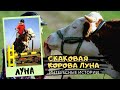 🐎 Скаковая Корова по имени ЛУНА 👍 Интересные Факты