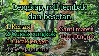 masteran lengkap, kenari, cucak cungkok, cucak jenggot, gereja tarung