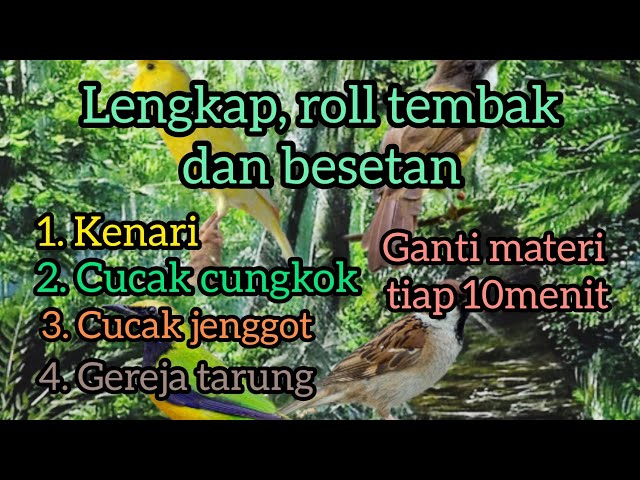 masteran lengkap, kenari, cucak cungkok, cucak jenggot, gereja tarung class=