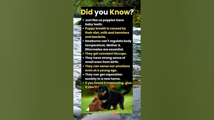 Did you know "puppies can get separation anxiety in a new home"?