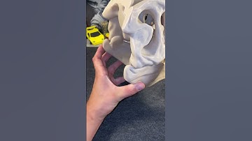 3D Printed T-Rex Skull🦖🦴