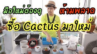 มือใหม่ต้องดู ซื้อ Cactus มาใหม่ เพราะอะไร ต้องเปลี่ยนดิน ( ไม่เปลี่ยน ไม่รู้ปัญหา )