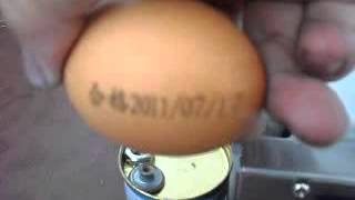 food grade ink,food printing,egg date logo printing machine