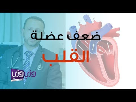 فيديو: أمراض القلب الناتجة عن تندب عضلات القلب في القطط
