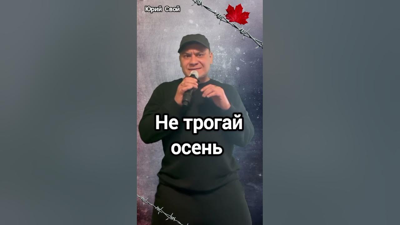 Бутырка осень слушать. Не трогайте осень слушать. Песня просто осень. Не трогайте осень слушать. Не трогайте осень слушать.