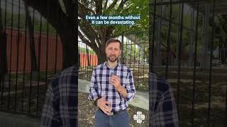 CGM's May 2026 Update