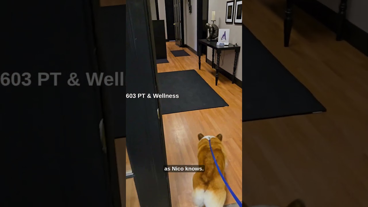 🐾 Welcome to 603 PT & Wellness! #dovernh #perimenopause #corgi